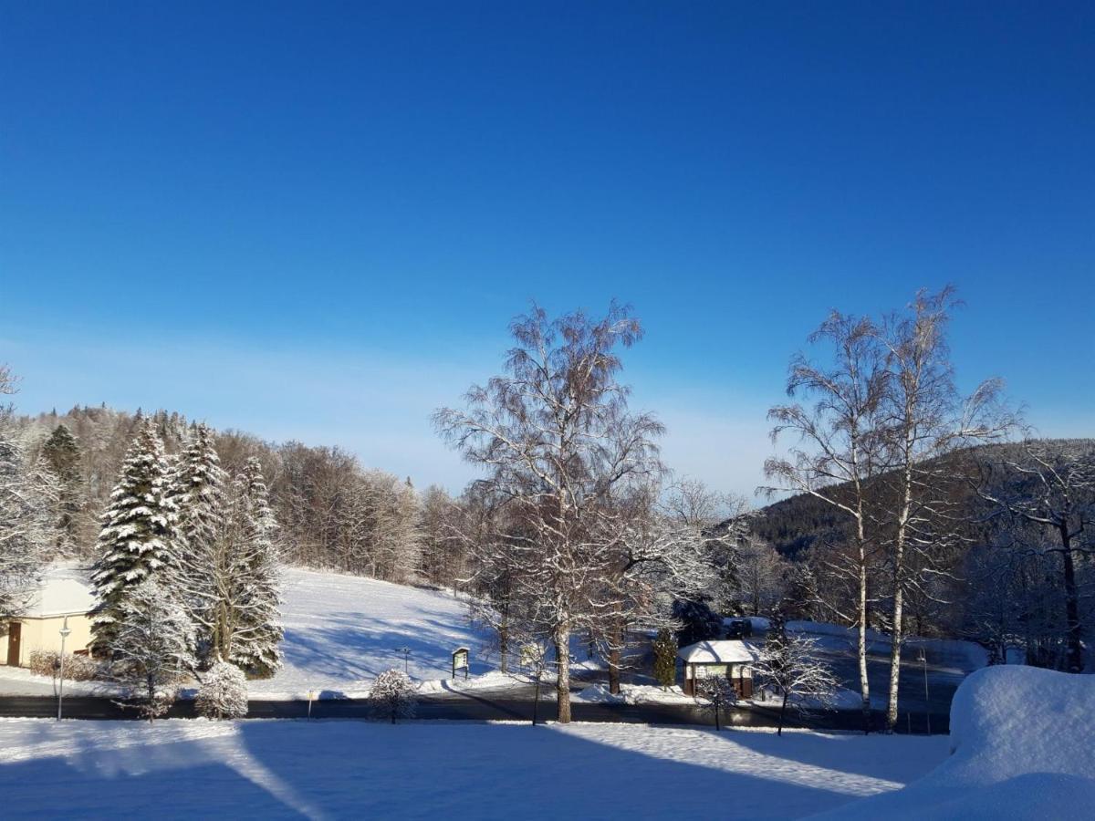 Villa Sonja Altenberg 외부 사진